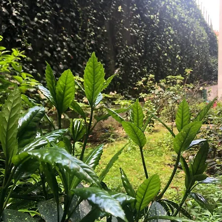 Greenhouse Luxury Κωνσταντινούπολη